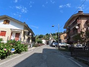 MULATTIERA SAN PELLEGRINO TERME - SANTA CROCE - 21 agosto 2024 - FOTOGALLERY